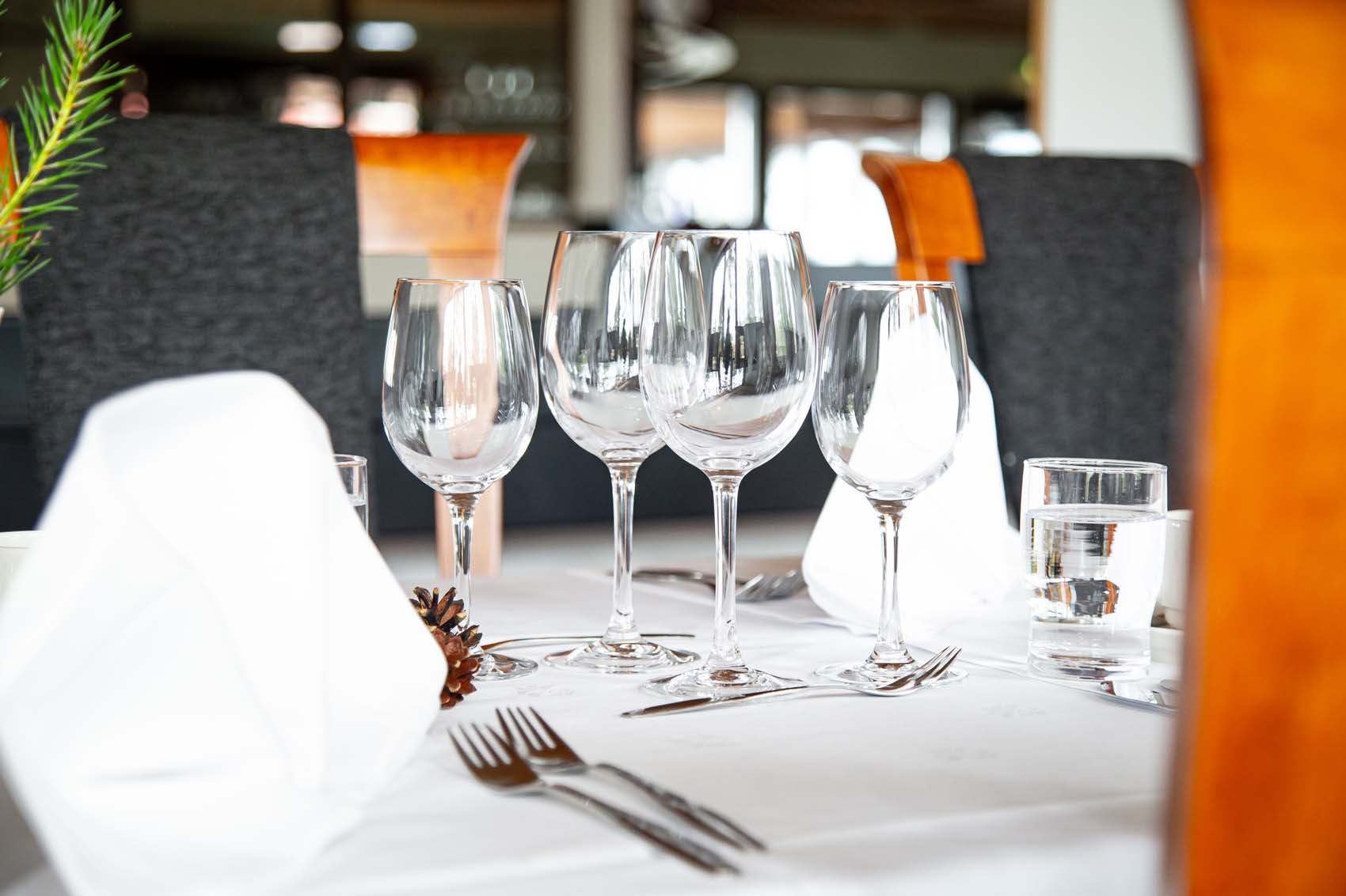 ravintola-resort-keurusselka-kattaus